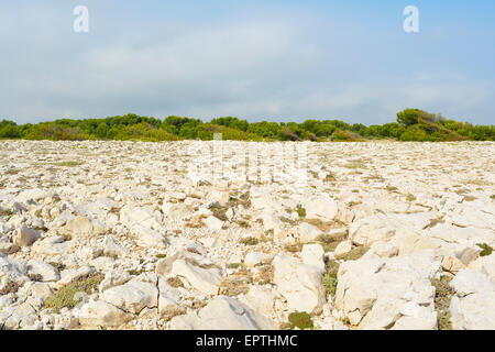 Campagna nei pressi di Costa, La Couronne, Martigues, Cote Bleue, Bouches-du-Rhone, Provence-Alpes-Côte d'Azur, in Francia Foto Stock