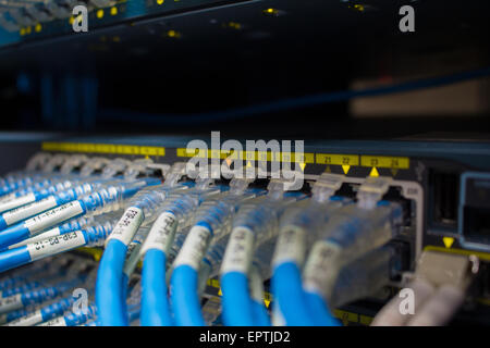 Luci e i collegamenti sul server di rete Foto Stock