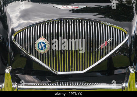 Griglia anteriore di una Austin Healey 100 britannico vettura sportiva in occasione di una mostra in Vancouver Foto Stock