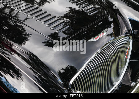 Dettaglio della parte anteriore di una Austin Healey 100 British Auto sportiva Foto Stock