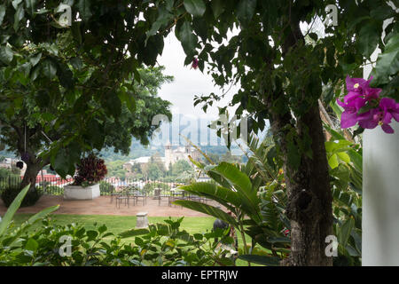 Alberi con la città sullo sfondo, Xochimilco, Città del Messico, Messico Foto Stock