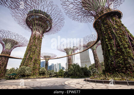 La gente a piedi lungo la OCBC Skyway nel SuperTree Grove a giardini dalla Baia di Singapore Foto Stock