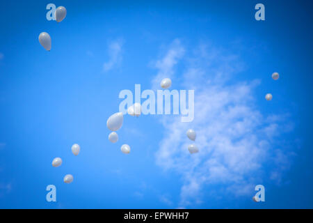 Palloncini bianchi su sfondo cielo in un giorno di nozze Foto Stock