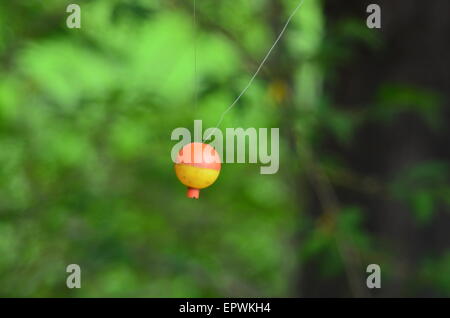 Bobber di pesca Foto Stock