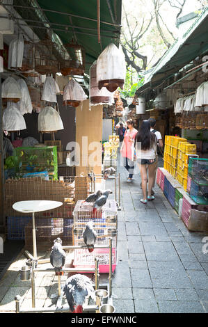 Dh Yuen po mercato degli uccelli Mong Kok di Hong Kong la gente camminare attraverso il mercato degli uccelli si spegne Foto Stock