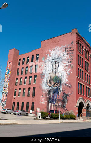 Arte Urbana in Rochester NY USA Foto Stock