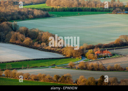 Serata in primavera a sud Harting, West Sussex, in Inghilterra. Foto Stock