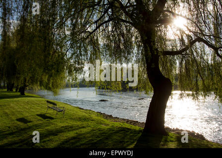 Bella e soleggiata mattina dal fiume Krka, Slovenia Foto Stock