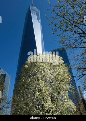 La struttura superstite presso il National September 11 Memorial sito con la libertà Torre , la parte inferiore di Manhattan, New York Foto Stock