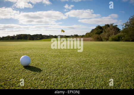 Stati Uniti d'America, Massachusetts, pallina da golf su erba nel campo da golf Foto Stock