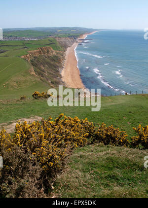 Vista da Thorncombe Beacon Hill vicino Eype verso il West Bay, Dorset, Regno Unito Foto Stock