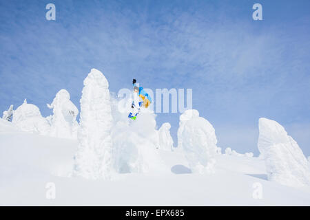 Stati Uniti d'America, Montana, coregone, Snowboarder saltando su albero innevato Foto Stock