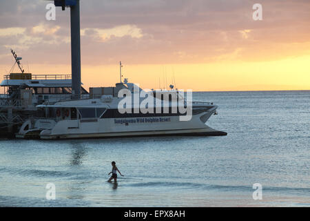 Moreton Island Ferry,Queensland, Australia Foto Stock