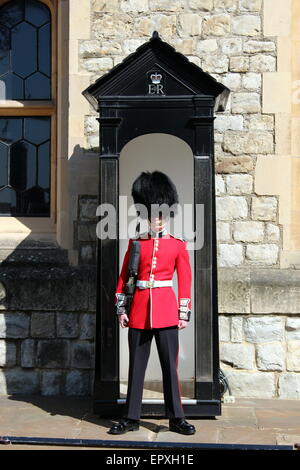 Una Regina della Guardia sentry in servizio presso la Torre di Londra Foto Stock