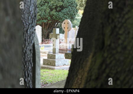 lapidi e alberi nel cimitero penzace Foto Stock