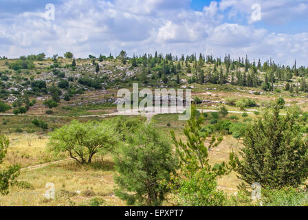 Paesaggio di Israele, foresta, montagna con grotta in Israele. Modiin Foto Stock