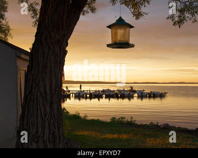 Bird Feeder con barche sullo sfondo, Georgian Bay, Tobermory, Ontario, Canada Foto Stock