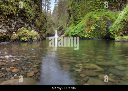 Punch Bowl Falls a Eagle Creek sentieri nel Columbia River Gorge National Scenic Forest Foto Stock