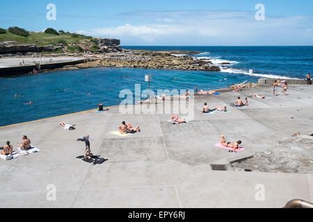 Clovelly, un sobborgo sulla costa di Sydney's sobborghi orientali, Nuovo Galles del Sud, Australia Foto Stock