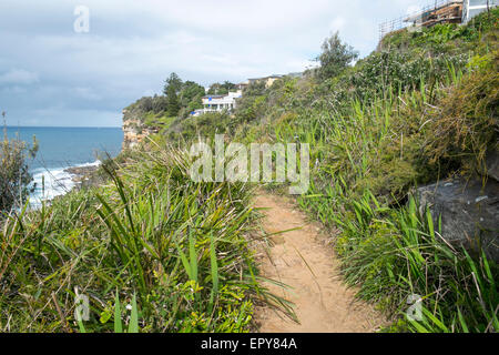 Guardando verso sud lungo la fascia costiera itinerario a piedi tra Dee Why beach e Curl Curl Beach a Sydney le spiagge del nord ,l'australia Foto Stock