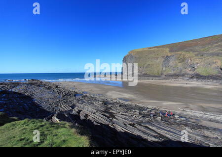 Crackington Haven Beach sulla costa nord della Cornovaglia in Inghilterra. Foto Stock