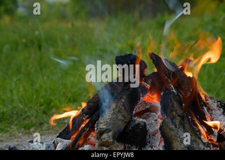 Campfire nel parcheggio nella foresta a riposo Foto Stock