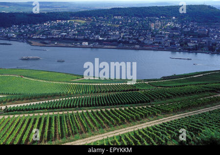 DEU, Germania, Rheingau, Ruedesheim presso il fiume Reno, vista dal Monumento Niederwald alla città di Bingen. DEU, Deutschlan Foto Stock