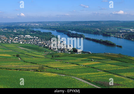 DEU, Germania, Rheingau, Ruedesheim presso il fiume Reno, vista dal Monumento Niederwald per la città. DEU, Deutschland, Rheinga Foto Stock