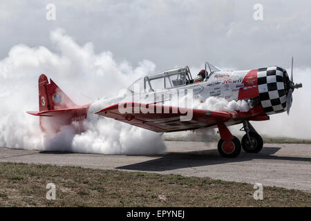 North American AT6 texano del team aeroshell Foto Stock