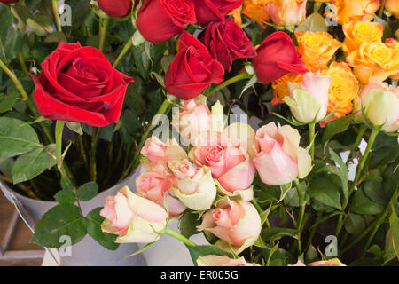Un bouquet di rosso e giallo rose Foto Stock
