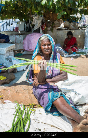 Donna locale vendita di coscia tree (Moringa Oleifera) capsule di seme come verdura in un mercato a Madurai, Tamil Nadu, nell India meridionale Foto Stock