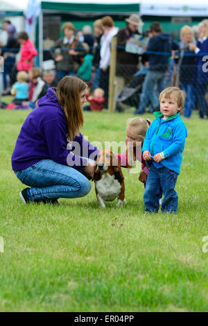 Basset Hound in posizione di fine corsa da bambina & donna a Hertfordshire County Visualizza Foto Stock