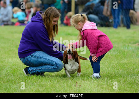 Basset Hound in posizione di fine corsa da bambina & donna a Hertfordshire County Visualizza Foto Stock