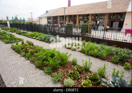 Italia Milano Expo 2015 Fattoria Triulza Foto Stock