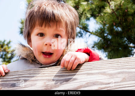 Colpo di testa e di spalla di bambino, ragazzo, 3-4 anni, con guance rosse, con cappotto invernale con colletto di furry, guarda su una recinzione di legno presso lo spettatore. Foto Stock