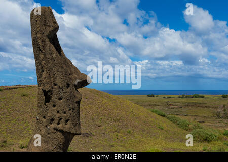 Moai in Rano Raraku, Parco Nazionale di Rapa Nui, Isola di Pasqua, Cile, Patrimonio Mondiale dell Unesco Foto Stock