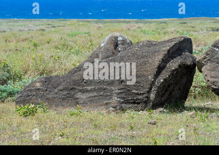 Moai in Rano Raraku, Parco Nazionale di Rapa Nui, Isola di Pasqua, Cile, Patrimonio Mondiale dell Unesco Foto Stock