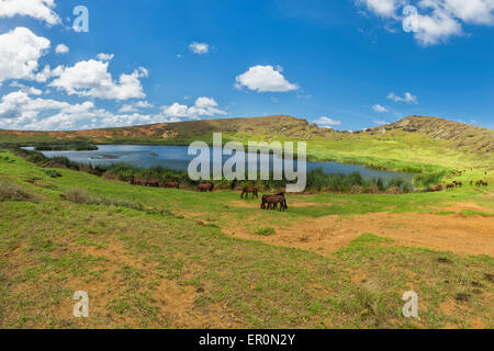 Rano Raraku Crater Lake, il Parco Nazionale di Rapa Nui, Isola di Pasqua, Cile, Patrimonio Mondiale dell Unesco Foto Stock