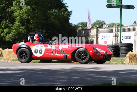 I partecipanti a questa edizione del motor racing sprint evento al Motorsport al Palace a Londra Sud 24.05.2015 Foto Stock