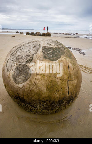 Moeraki Boulders sulla costa orientale dell'Isola del Sud della Nuova Zelanda Foto Stock
