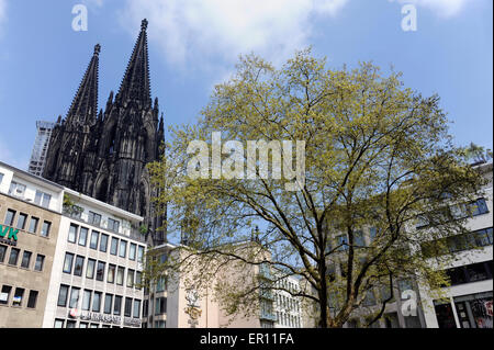 Colonia,Koln,Wallrafplatz,Kolner Dom,zona pedonale,della Renania settentrionale-Vestfalia,Germania Foto Stock