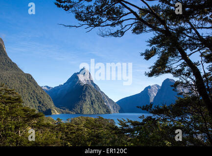 Mitre Peak e Milford Sound nel Fjordland Isola del Sud della Nuova Zelanda Foto Stock