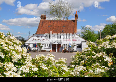 Il 14th Century Peacock Inn, pub di campagna vicino Goudhurst, Kent, Inghilterra, Gran Bretagna, in primavera Foto Stock