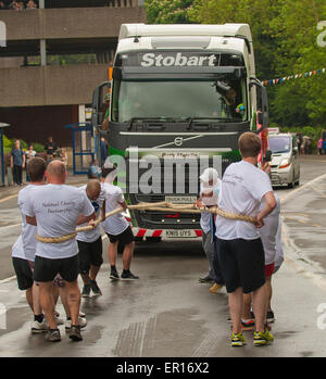 Stroud, Gloucestershire, UK. Xxiv Maggio, 2015. Guinness carrello tirare il tentativo di record mondiale : Stroud era il luogo di ritrovo per il tentativo di record mondiale dal carrello tirare squadre. I vincitori sono stati Team quinto in una non verificata per registrare il tempo di 9 minuti. 40sec Data 24/05/2015 Ref: Credito: charlie bryan/Alamy Live News Foto Stock