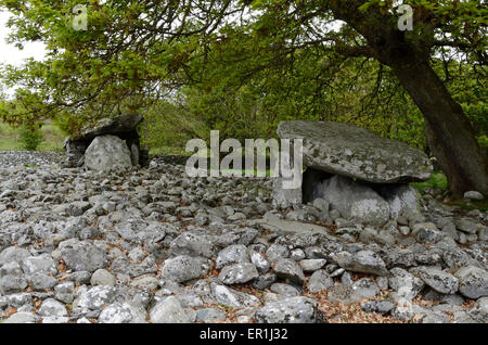 Dyffryn Ardudwy Neolitico camera di sepoltura Gwynedd in Galles Cymru Regno unito Gb Foto Stock
