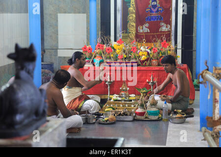 Kovil Koneswaram tempio indù, Trincomalee, Sri Lanka, Asia Foto Stock