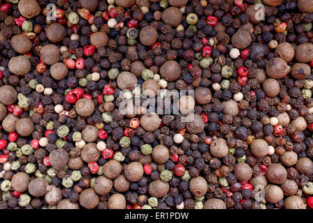 Grani di pepe misto - bianco, nero, rosa, verde, pimento - come un astratto texture di sfondo Foto Stock