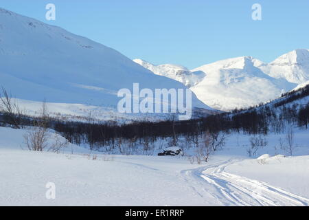 Coperta di neve alberi in montagna, Dapmotjavri, Norvegia Foto Stock