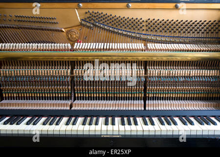 L'Europa, Germania, aperto pianoforte del produttore, Helmholz fabbricato nei primi anni del XX secolo. Euopa, Deutschland, geoeff Foto Stock