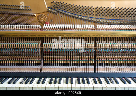 L'Europa, Germania, aperto pianoforte del produttore, Helmholz fabbricato nei primi anni del XX secolo. Euopa, Deutschland, geoeff Foto Stock